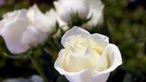 Death notices and funeral arrangements for Donegal on Saturday, November 1