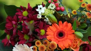 Death notices and funeral arrangements for Donegal on Tuesday morning, November 11