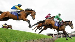 RACING: Top tips for a packed Sunday card at Punchestown 