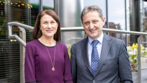 ESB and Shannon Airport Group explore potential for hydrogen plant at airport