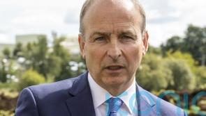 Protocol Bill &lsquo;testing and fraying&rsquo; British and Irish partnership &ndash; Taoiseach