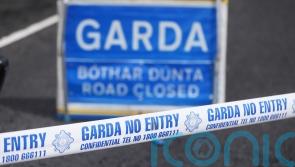 Van driver dies after crashing into wall in Co Cavan