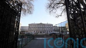 Justice minister refuses to confirm knowledge about alleged spy in parliament