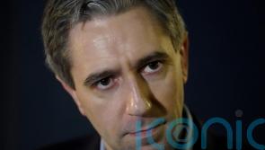 Harris ‘does not expect’ poll on Irish unity in this decade