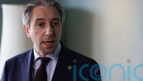 Indian representatives in Ireland want taskforce to address ‘spate of attacks’