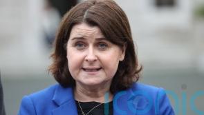 Stricter rules for puppy farms is ‘something people want action on’, Dail hears