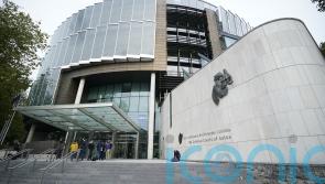 Court delays sentencing of IS supporter who stabbed garda