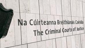 National: Court urged not to jail sister of gang 'patriarch' over €124k found in attic