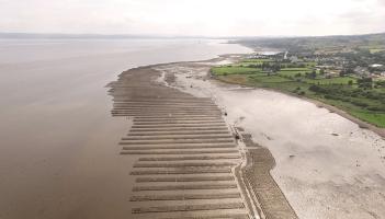 Dangers of aquaculture on Lough Foyle highlighted