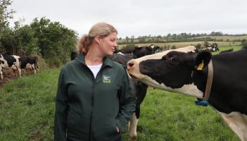 Irish dairy farming - An industry built on over 6,000 years of expertise