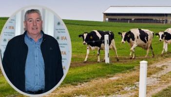 'Fear and uncertainty' among Donegal dairy farmers over cow cull