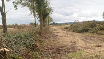Gardaí called to deal with hedge cutting during the close season