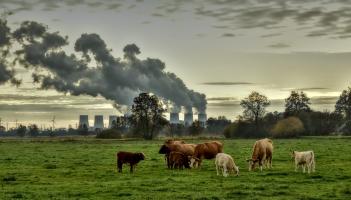 'Time to plan seriously' - State facing fines of up to €20bn for missing carbon targets