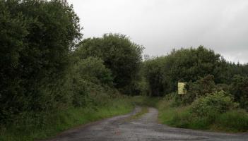 New telecommunications mast proposed for Lisnagra forest at Muff