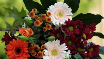 Death notices and funeral arrangements for Donegal on Friday, November 21