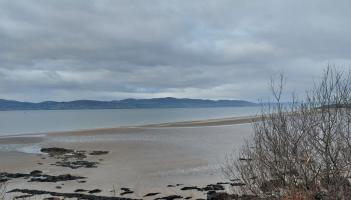 Saturday to be bright and windy in Donegal with sunny spells and showers