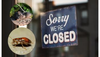 Cockroaches and mouse droppings found as twelve food businesses forced to close in March