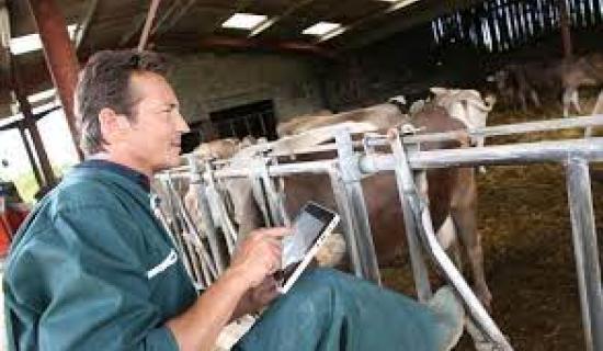 Will Donegal farmers take their stock to the new digital market?