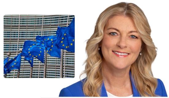 'Don't ditch radio from new cars' Ireland MEP N&iacute; Mhurch&uacute; to ask car manufacturers