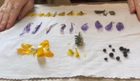 Free workshops to explore Buncrana&rsquo;s wildflowers, craft and heritage