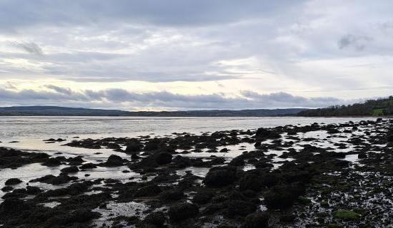 Cloud in Donegal will clear and be followed by sunny spells with scattered showers