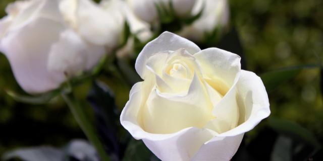 Death notices and funeral arrangements for Donegal on Good Friday evening, April 3