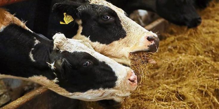 All non-essential farm inspections paused due to adverse weather conditions
