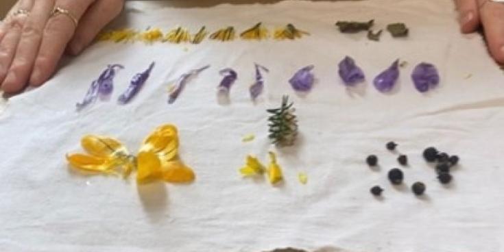 Free workshops to explore Buncrana&rsquo;s wildflowers, craft and heritage