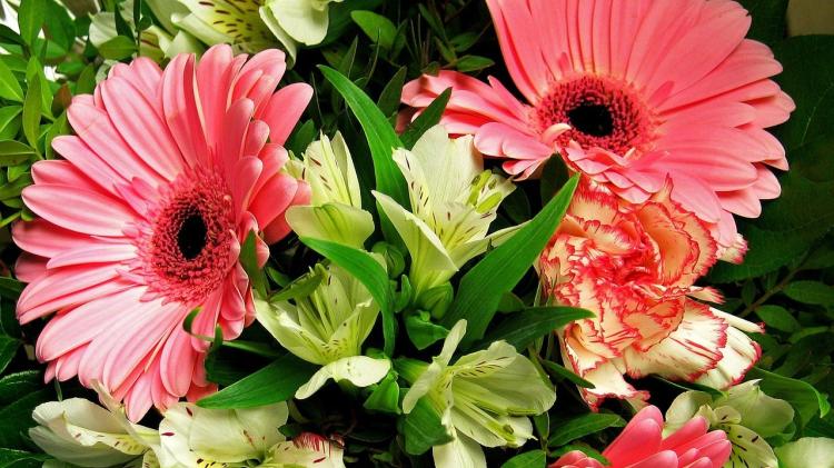 Death notices and funeral arrangements for Donegal on Saturday morning, March 7