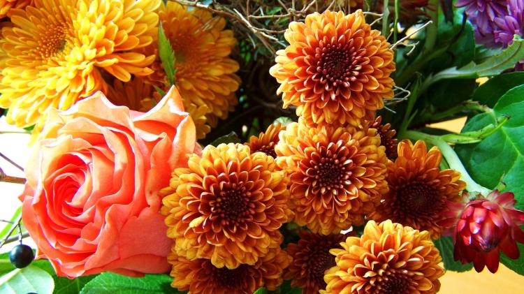 Death notices and funeral arrangements for Donegal on Monday morning, March 22