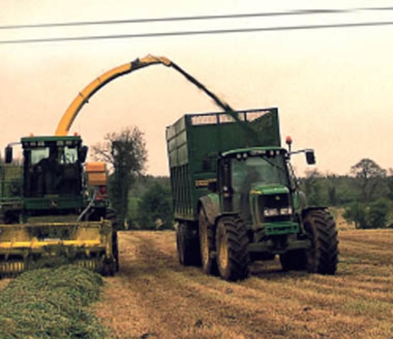 Silage support package coming to Cabinet