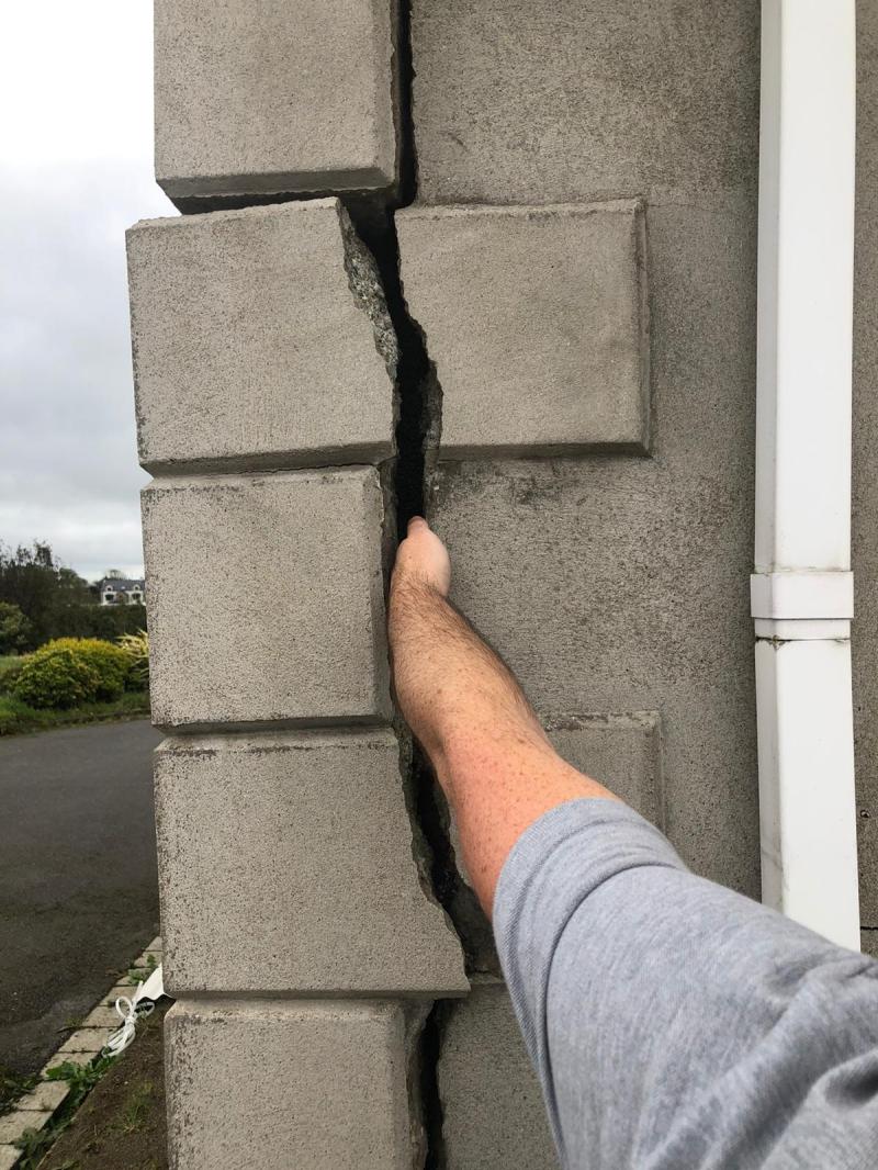 'Deleterious Products' case taken by homeowners