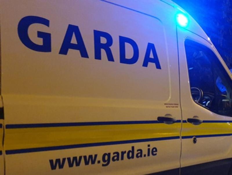 National: Garda&iacute; arrest 10 men linked to organised crime