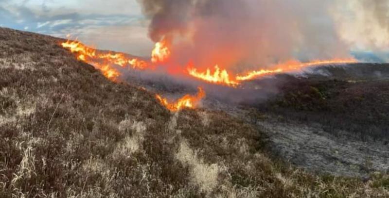'An easily preventable threat' - McConalogue warns public against starting illegal fires