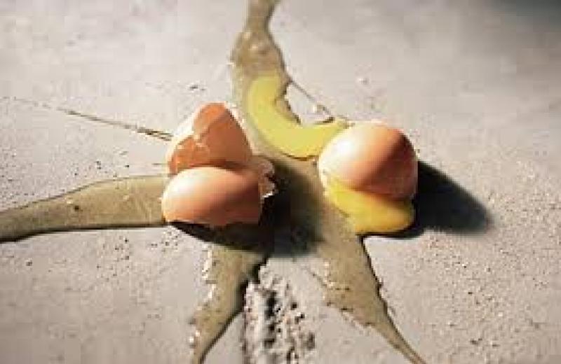 Garda urge public to report people throwing eggs