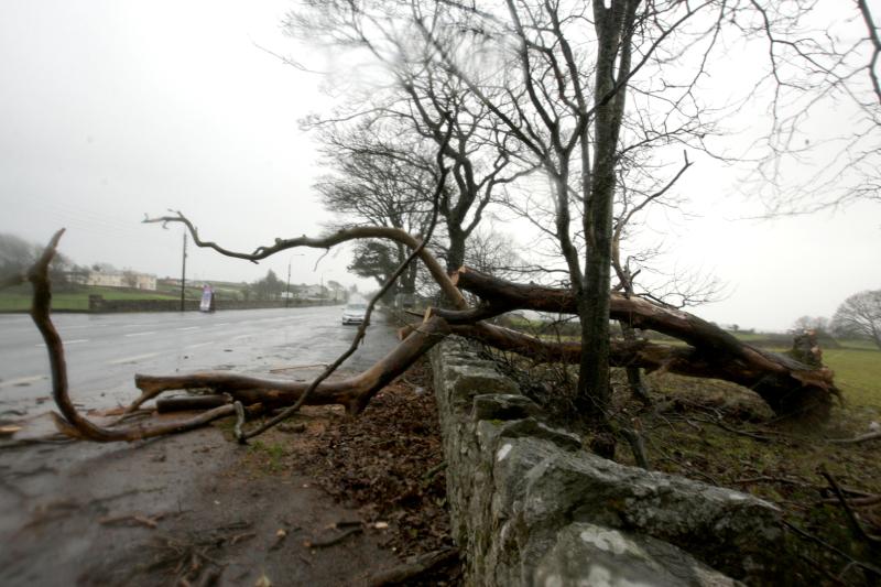 Met Éireann issues status yellow wind warning for seven counties