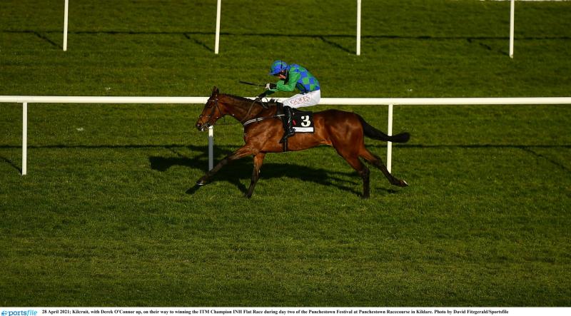 The Leopardstown accumulator that could win you a small fortune today 