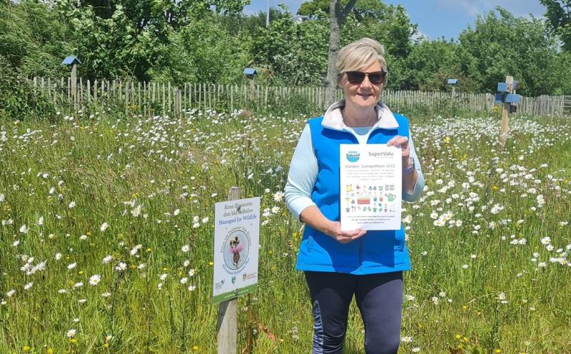 Buncrana Tidy Towns Garden Competition returns!