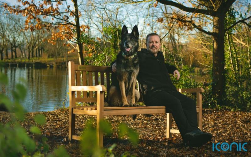 Netflix donates benches as part of mental health initiative