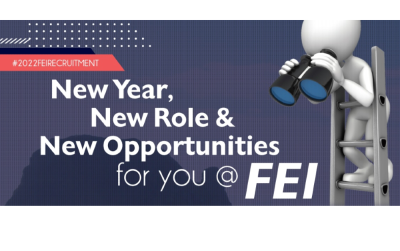 New Year, New Role and New Opportunities for you at FEI