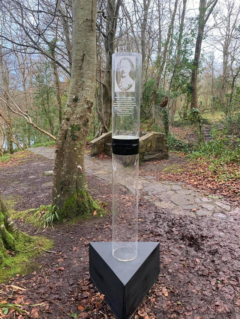 John McCarron's new art installation in Swan's Park
