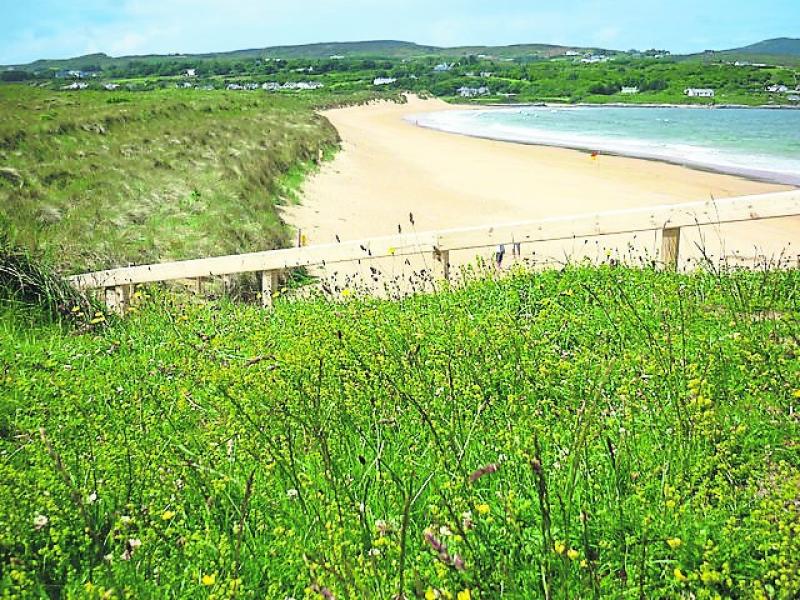 Restricted access for pets on popular beaches