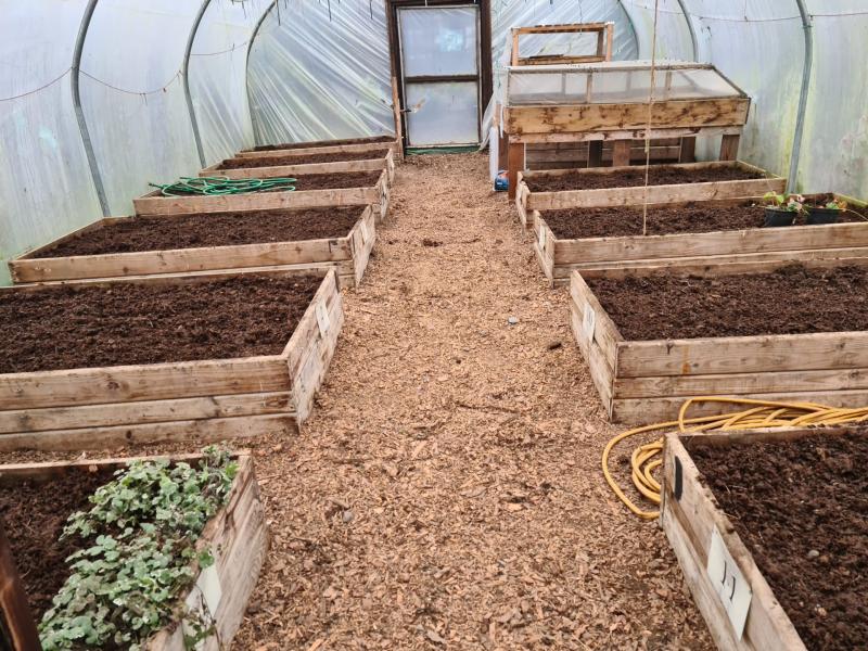 Mother Nature wants you to join a community garden