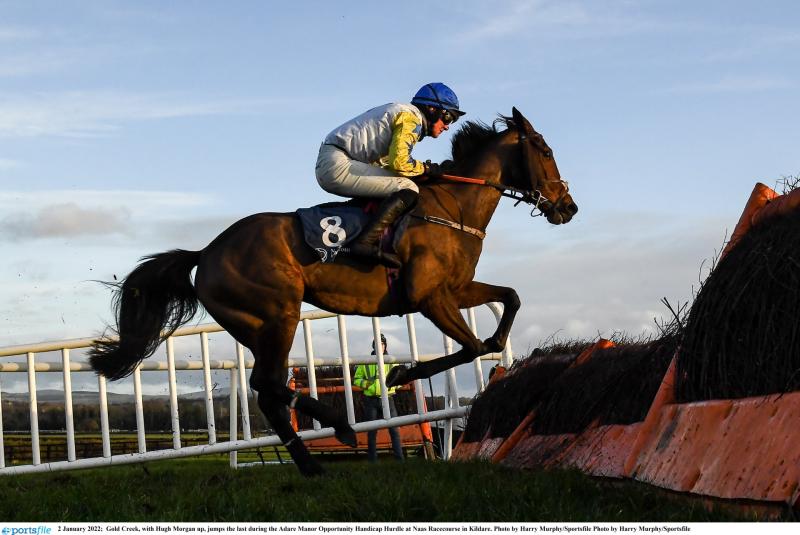 Tips and analysis for Sunday&rsquo;s card at Naas