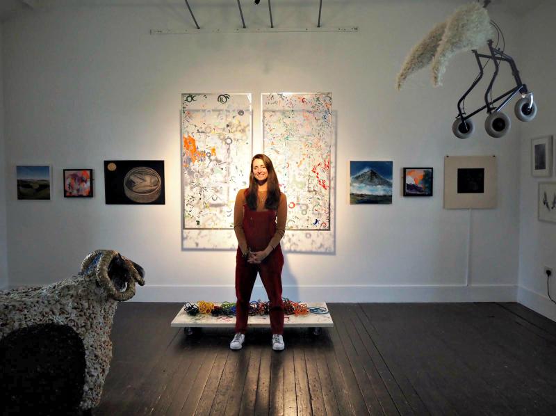 Annual ‘Artlink Members Show’ opens to public
