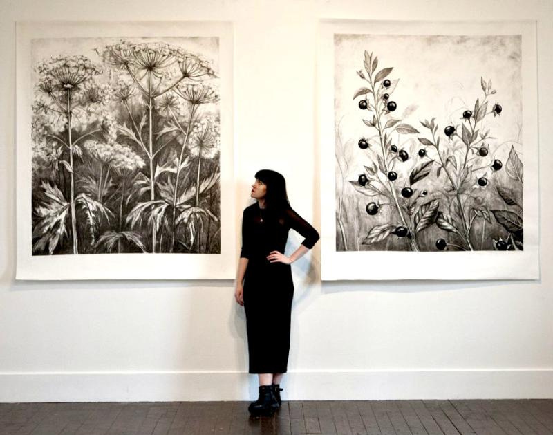 New solo exhibition ‘The Seed That Stops The Heart’ opens at Artlink
