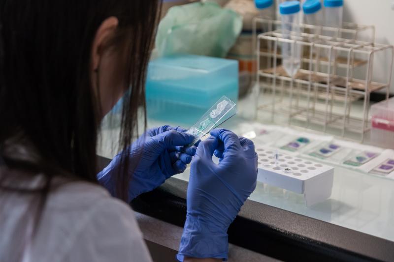Students in Donegal asked to protect each other following meningitis cases