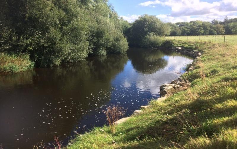 Improving Water Quality in Ireland