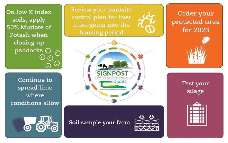 Explained by Teagasc: National soil fertility trends 2021
