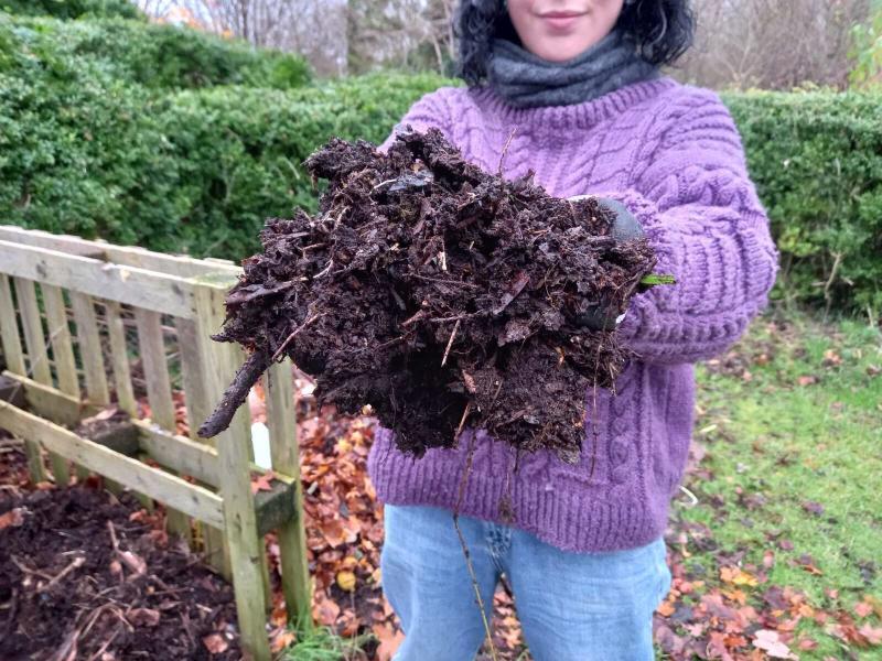 Life hacks to reduce nutrient and food waste this Christmas